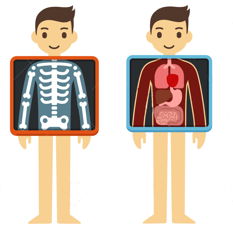 BODY FUNCTION AND PROBLEMS